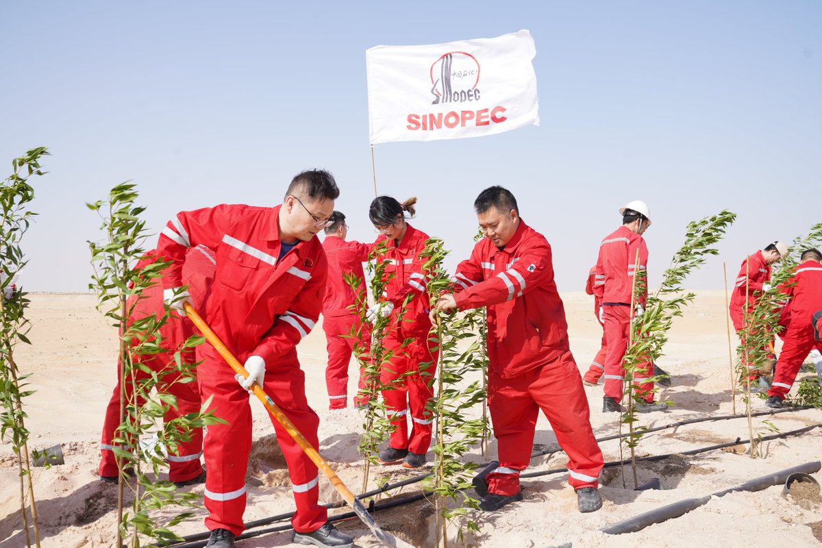 Sinopec Saudi Arabia tweet media