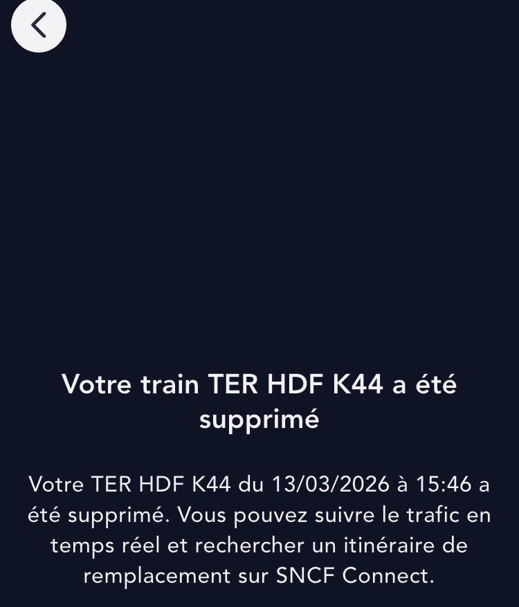 AliceDeCaz ⏚ tweet media