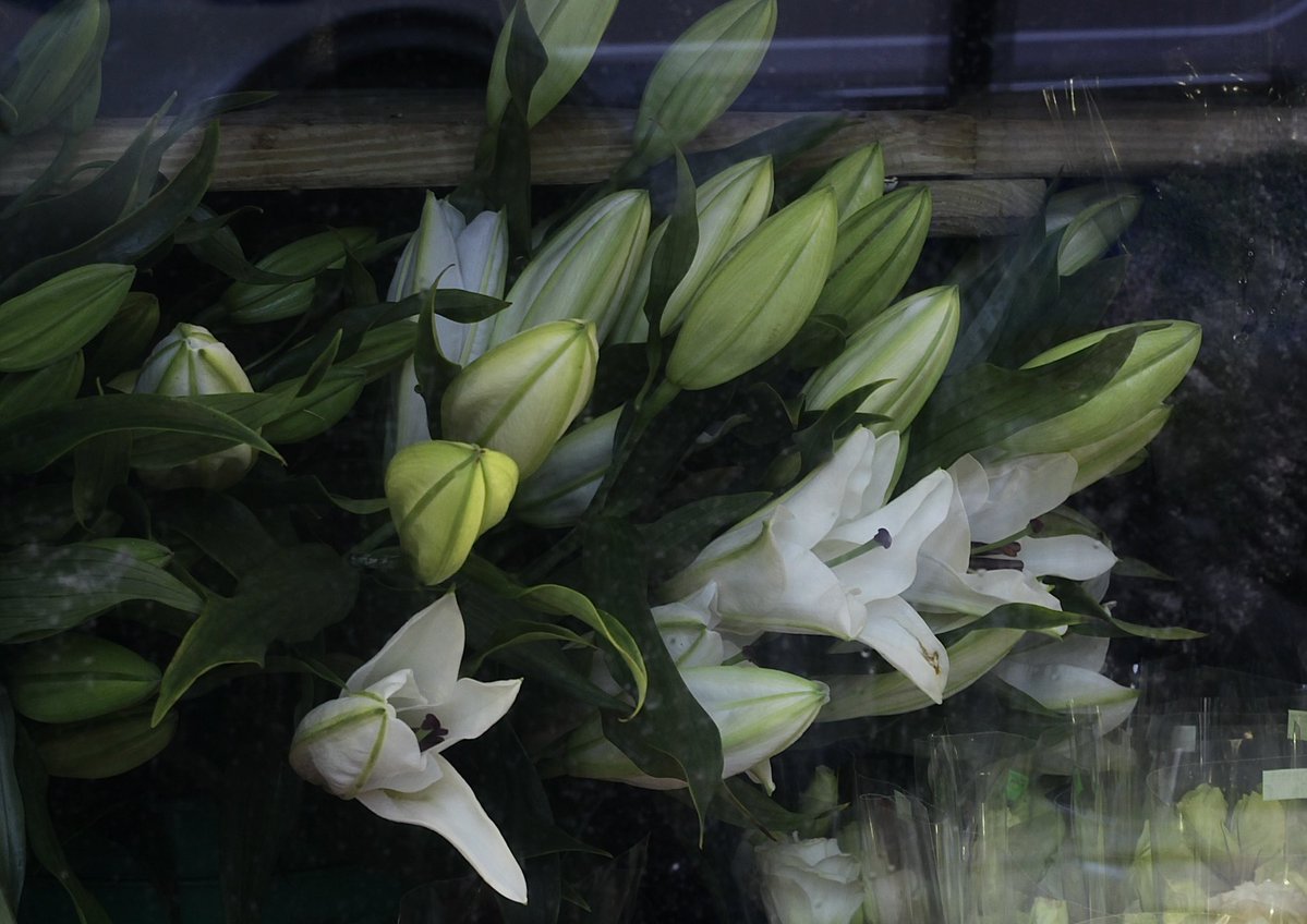 ウじ (@bonelocks) on Twitter photo 