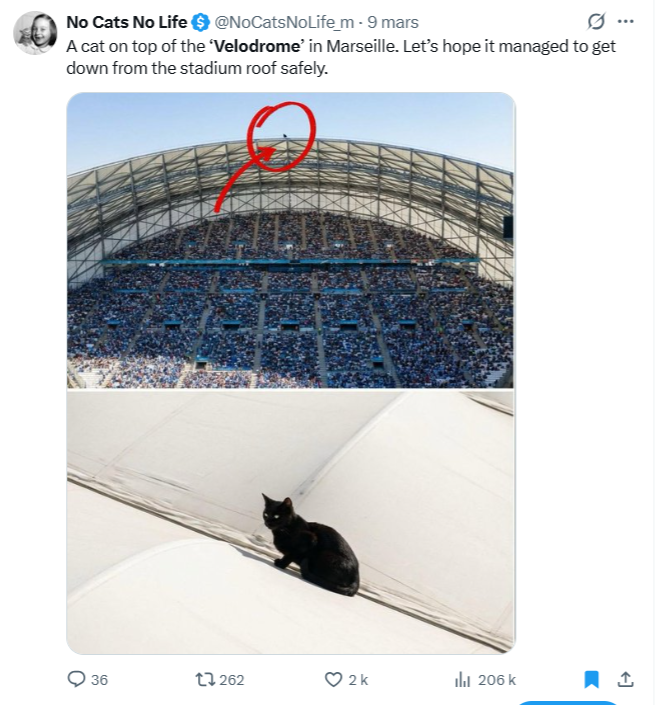 Alexandre Capron tweet media