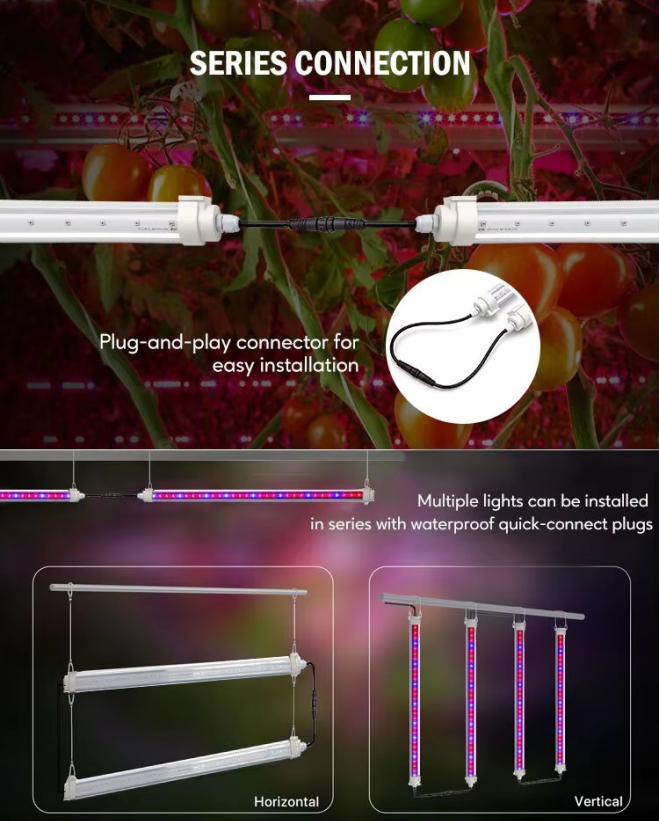 morleyguo555's tweet photo. East Grace advances full-spectrum + dynamic tunable LED grow lights: real-time spectrum shifts, Emerson Effect optimization & AI recipes for all growth stages. Delivering up to 30% yield gains in 2026 CEA. Exploring tunable lighting? Share your experience. #DynamicSpectrum #LED https://t.co/9Z0pWjg0uo