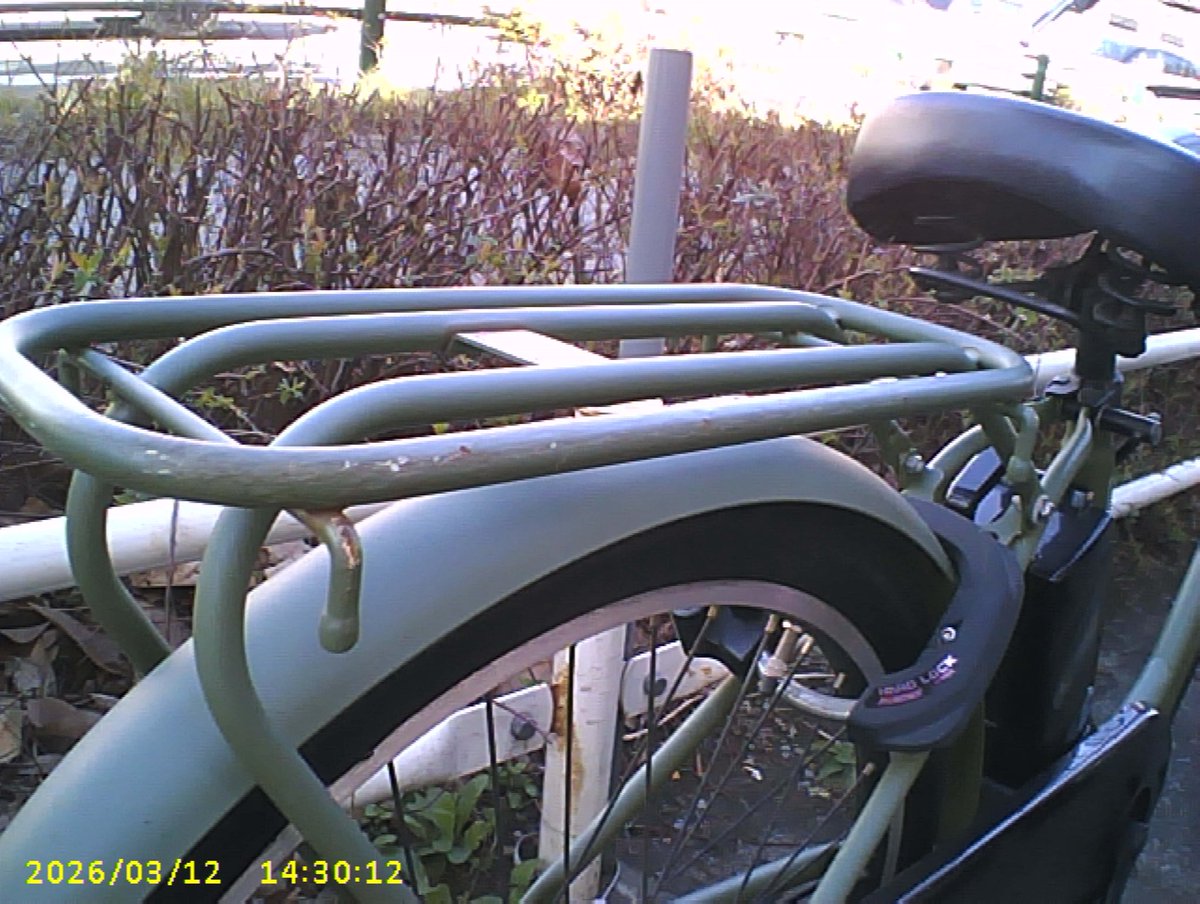 ゆきち🍿4y🦖+0m🦕 tweet media