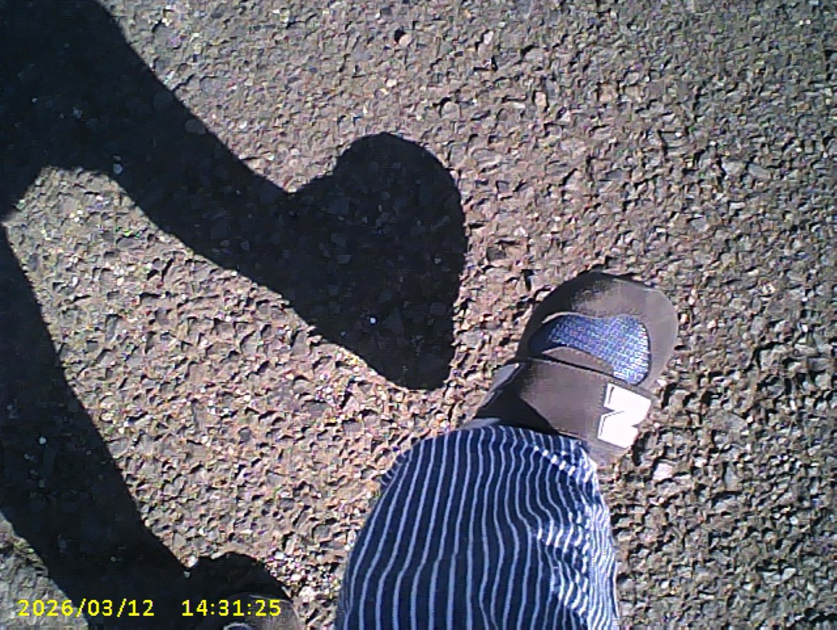 ゆきち🍿4y🦖+0m🦕 tweet media