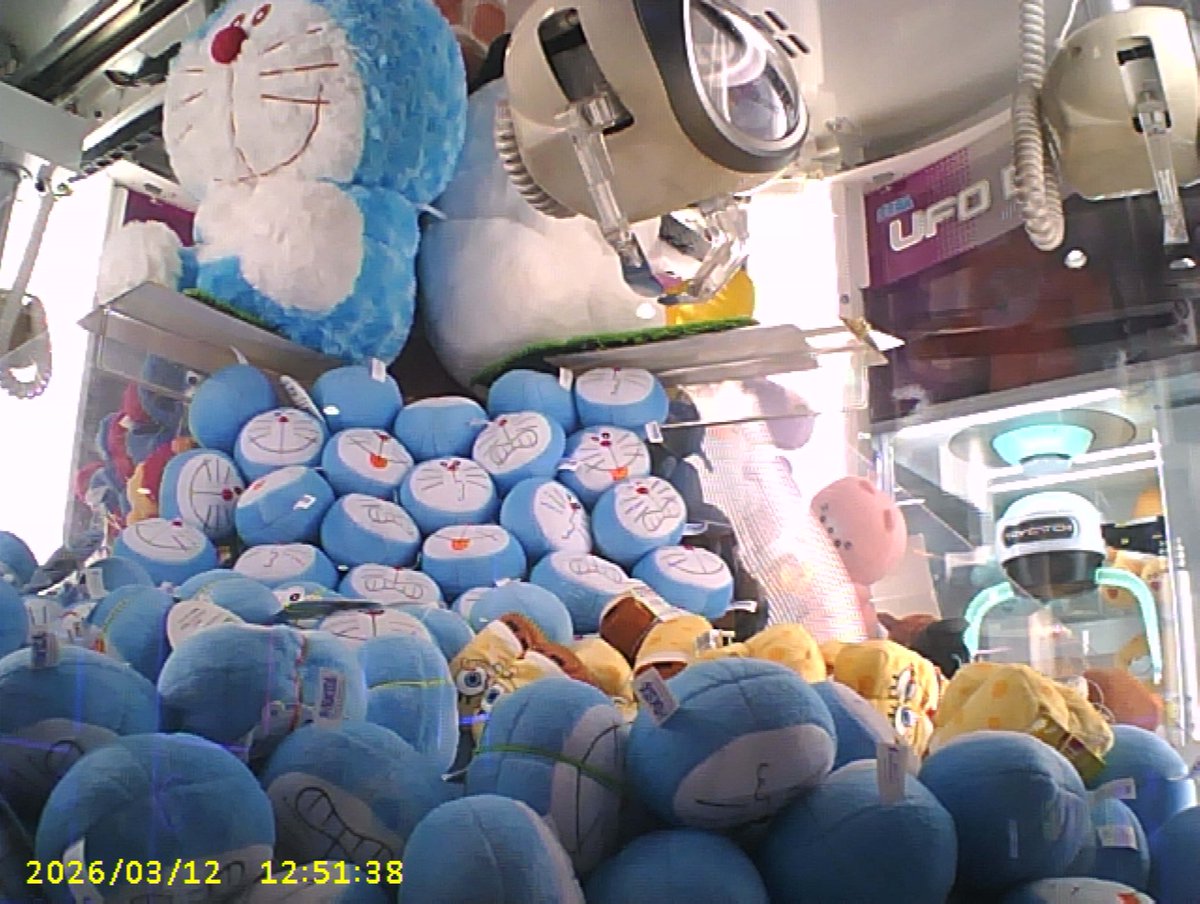 ゆきち🍿4y🦖+0m🦕 tweet media