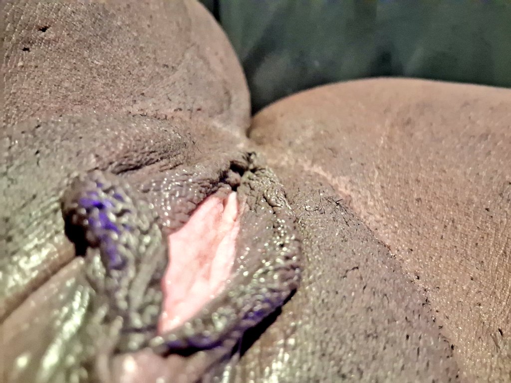 Medium_Debbie's tweet photo. We love close-ups https://t.co/uPgH1jS5RL