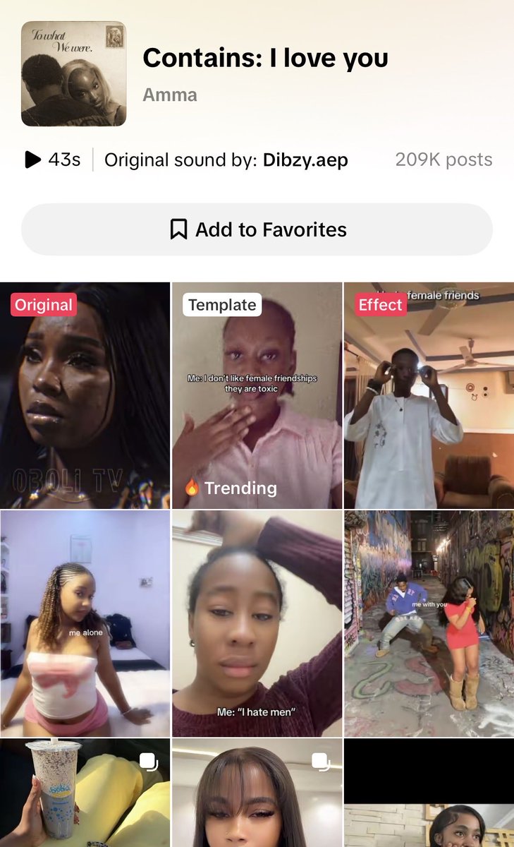 Paper Chief tweet media