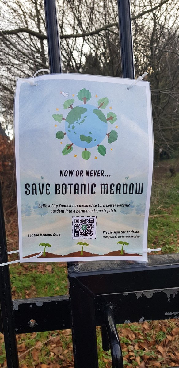 SaveOurLagan's tweet photo. Love life, love nature, love wildflowers, love bees, love insects, save Botanic Meadows 
https://t.co/jzDqZVBIMR https://t.co/UPdM7DS14s