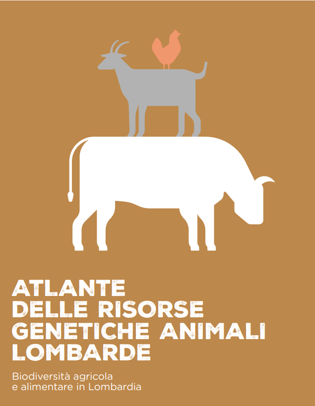 Fabio Fimiani tweet media