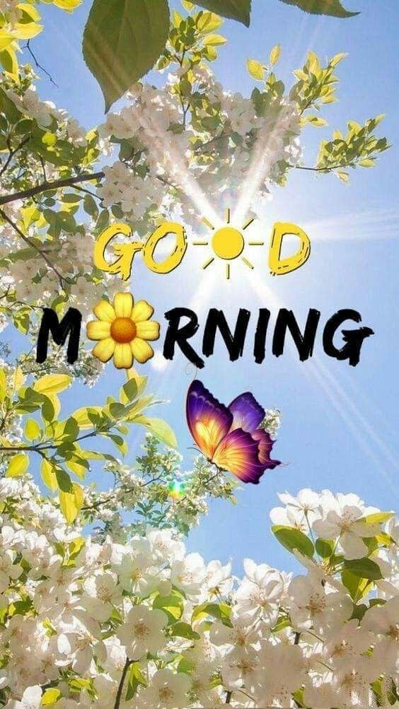 Debbimarijay's tweet photo. Do not forget to take care of your beautiful soul 🥰 https://t.co/h63BFEgx5F