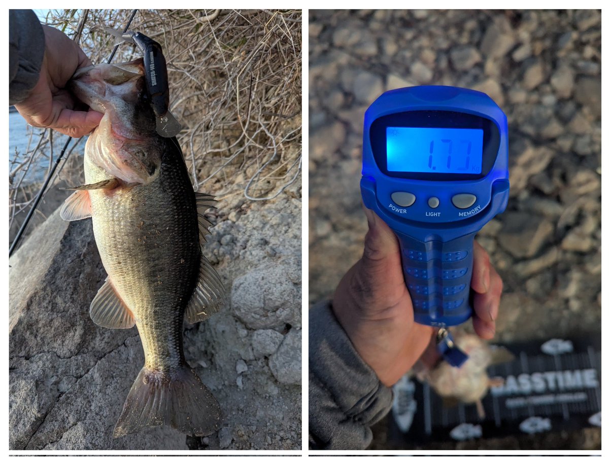 はらちん tweet media