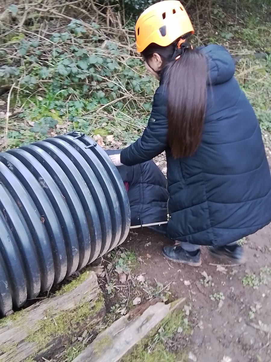 Class 5NP tweet media