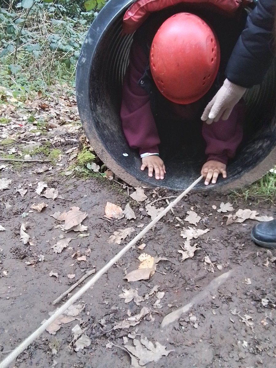 Class 5NP tweet media