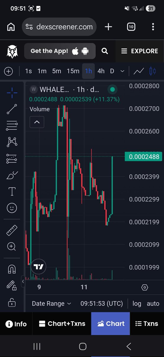 The Humpback Holder tweet media