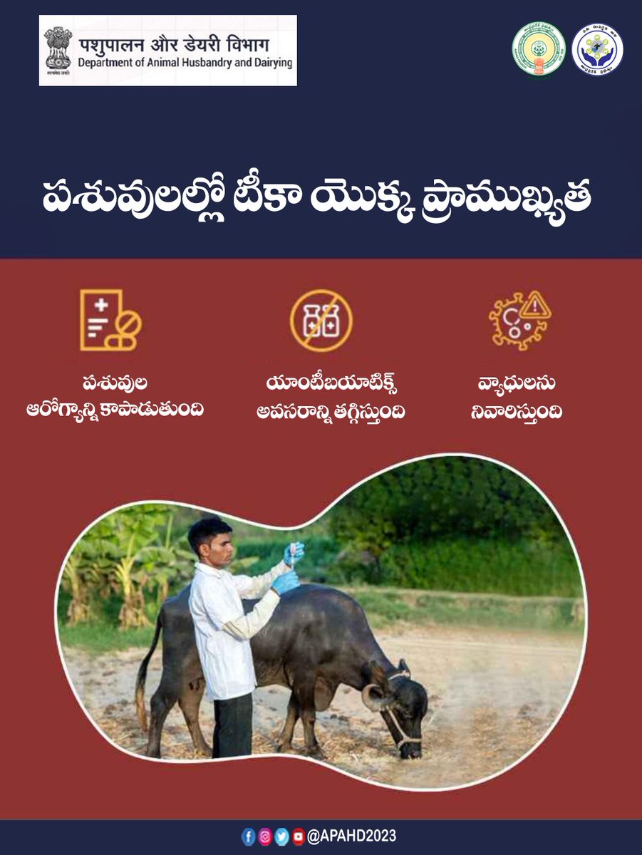 Andhra Pradesh Animal Husbandry Department tweet media
