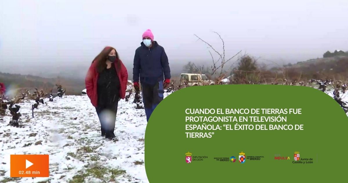 Banco de Tierras del Bierzo tweet media