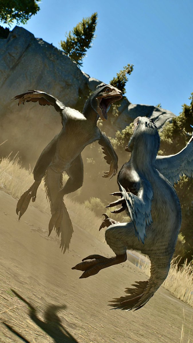 📸－FIRST－📸 tweet media