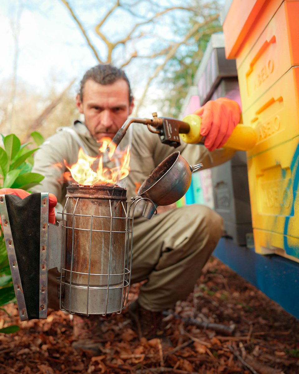Black Mountain Honey tweet media