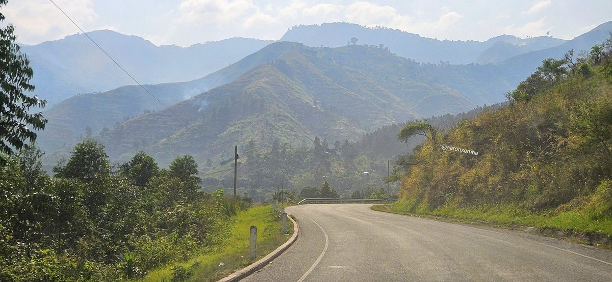 Aaron Kitratius Sempa tweet media