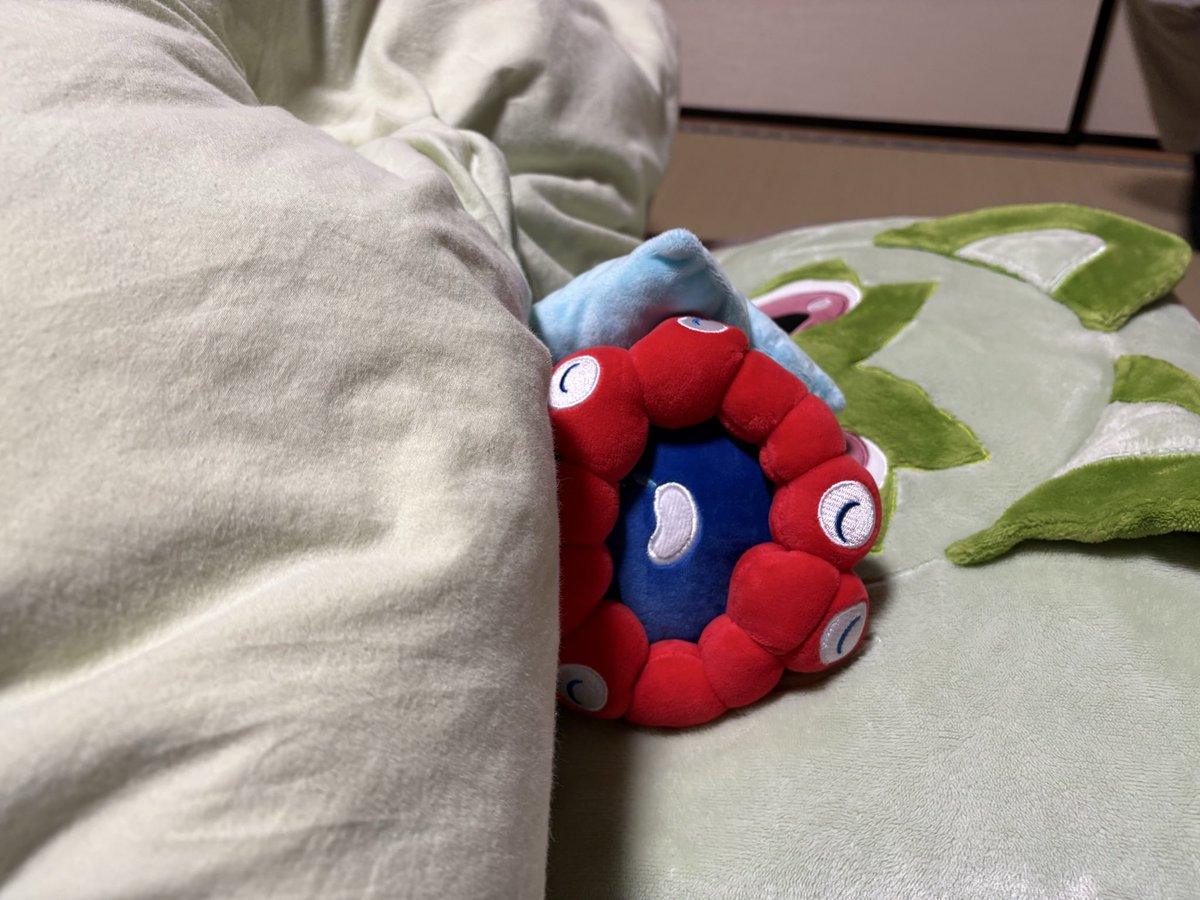 布団ひいてくるのと、お風呂洗いは子供たちの仕事なんやけど、ふと寝床をみたらこの感じで笑った
みんな寝かしつけられてる