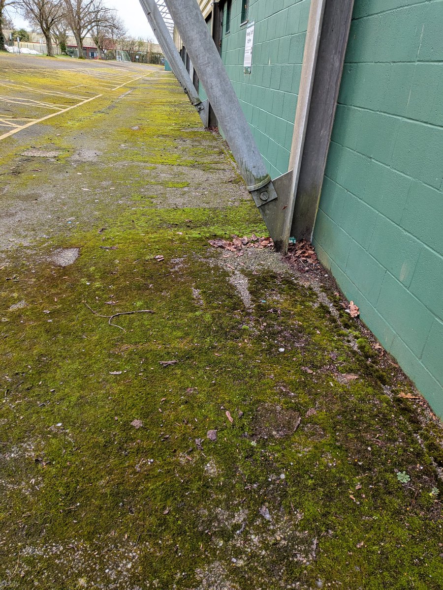 Tim Lancaster tweet media