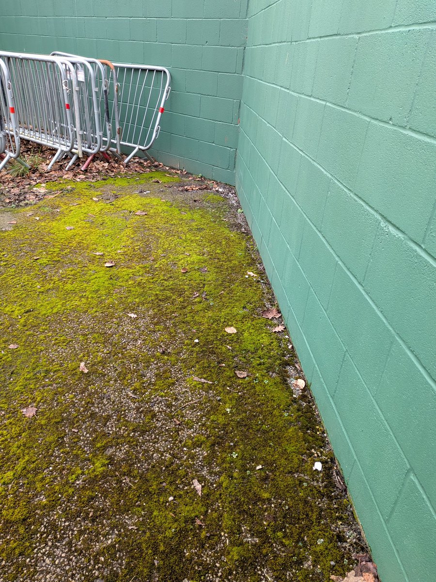 Tim Lancaster tweet media