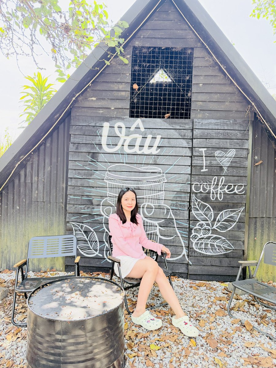 Ánh Linh | Lian tweet media