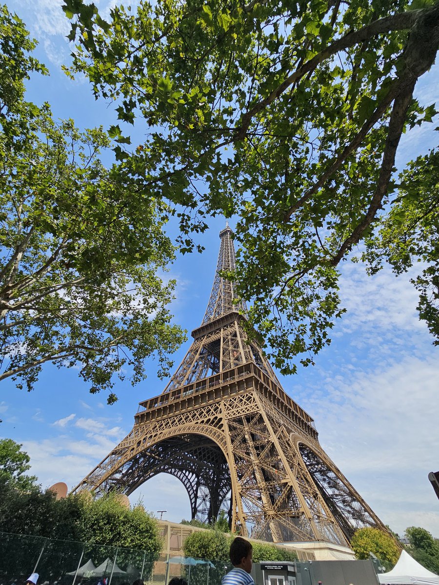 Matt 🇵🇸 tweet media