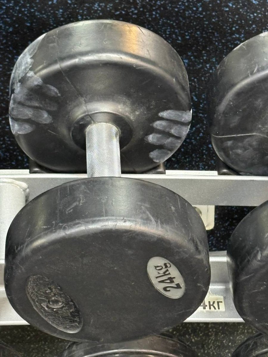 Последний гусь tweet media