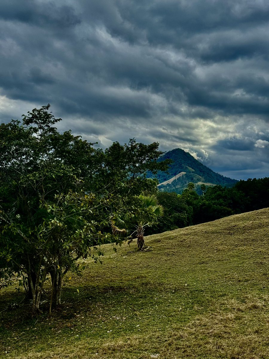 “TU FELICIDAD DEPENDE DE TRES COSAS, TODAS LAS CUALES ESTÁN EN TU PODER: TU VOLUNTAD, TUS IDEAS SOBRE LOS ACONTECIMIENTOS EN LOS QUE TE INVOLUCRAS Y EL USO QUE HACES DE TUS IDEAS."
De acuerdo con Epícteto y los estoicos, la felicidad está determinada por factores que están en