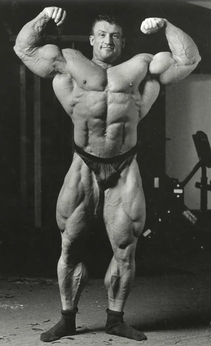 tom serge tweet media