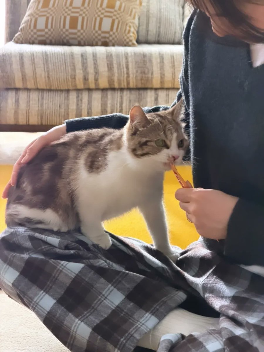 bandaling77's tweet photo. 연아 인스타 업뎃
나만 신�� 🐶🐱와의 촬영ㅋ 날 사랑해줘🥲❤️
https://t.co/heKvwQU6QV https://t.co/sUmMJMQc4L