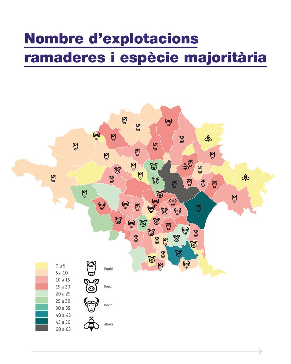 Institut d'Innovació i Recerca Glòria Compte_FSE tweet media