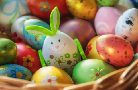 StMM Catholic School tweet media