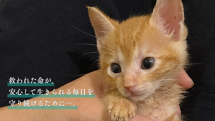 READYFOR(レディーフォー) tweet media