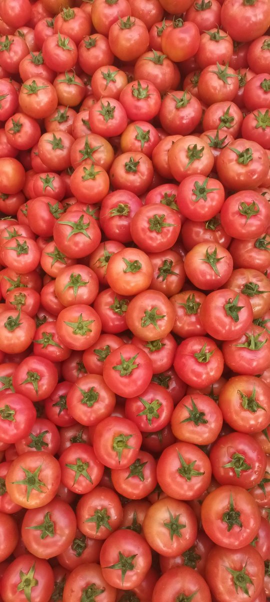 Prashant pandey tweet media