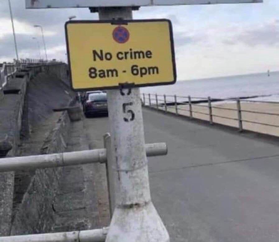 horse dentist tweet media