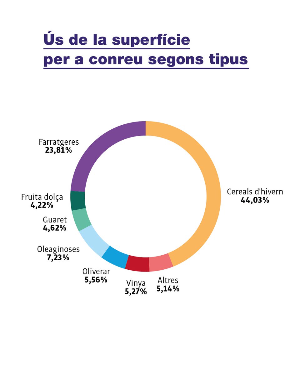 Institut d'Innovació i Recerca Glòria Compte_FSE tweet media