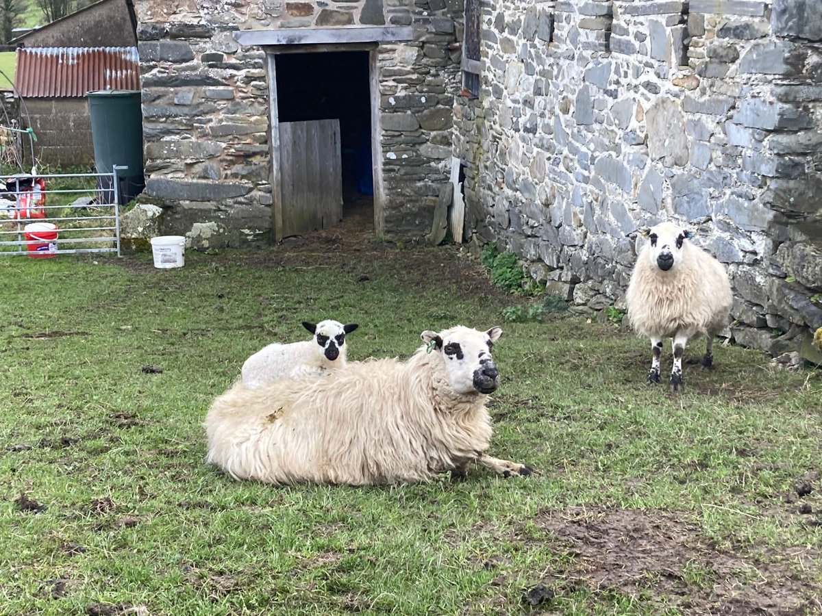 BASF Agricultural Solutions UK tweet media