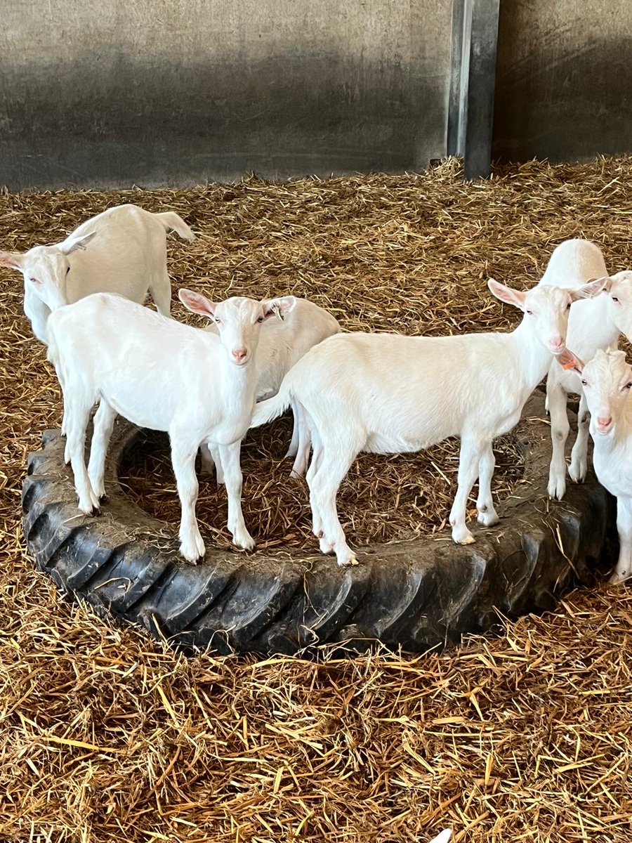 BASF Agricultural Solutions UK tweet media