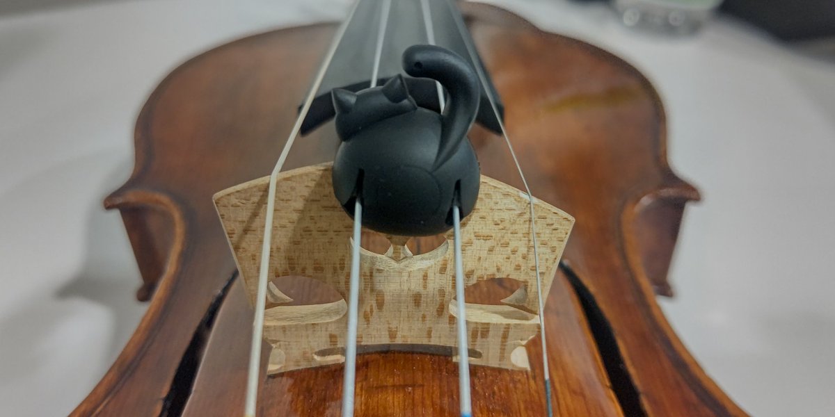 鎌田泉 Violin tweet media