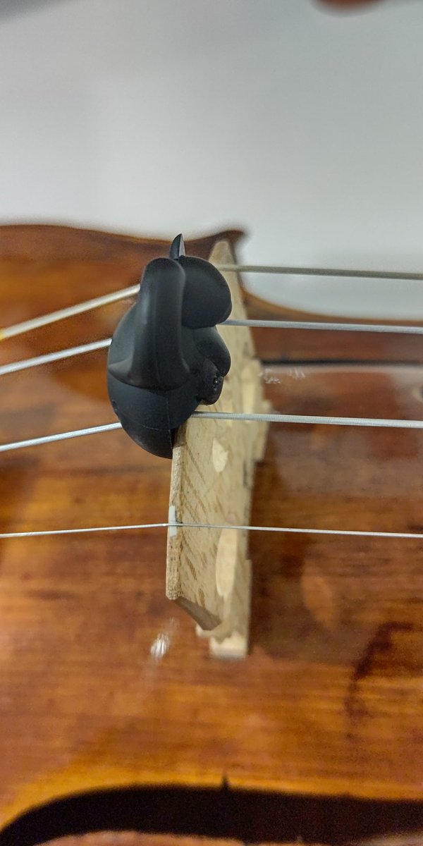 鎌田泉 Violin tweet media