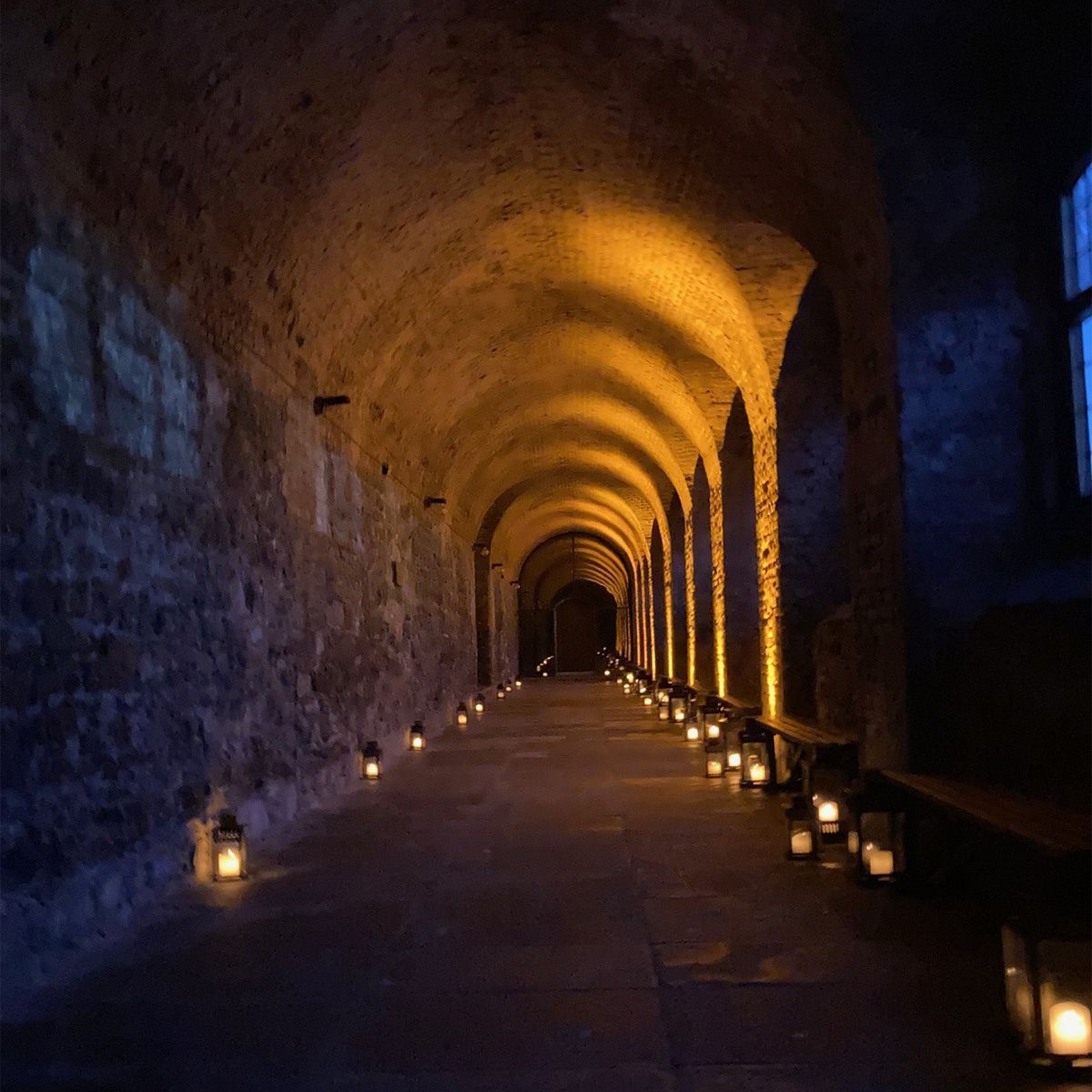 CharterhouseEC1's tweet photo. As we say goodbye to the candles with our last Charterhouse by Candlelight tour now over, we’re ready to embrace the brighter days! We’re trading flickering flames for blooming petals as our Springtime Garden tours kick off on 17 March.

We hope to see you in the garden soon! 

#HiddenLondon #VisitLondon #ExploreLondon #ThingsToDoLondon #ToursLondon
