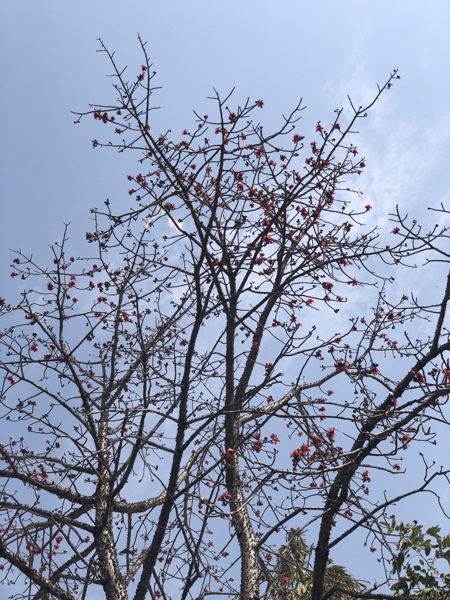 Jigar Punadiya tweet media