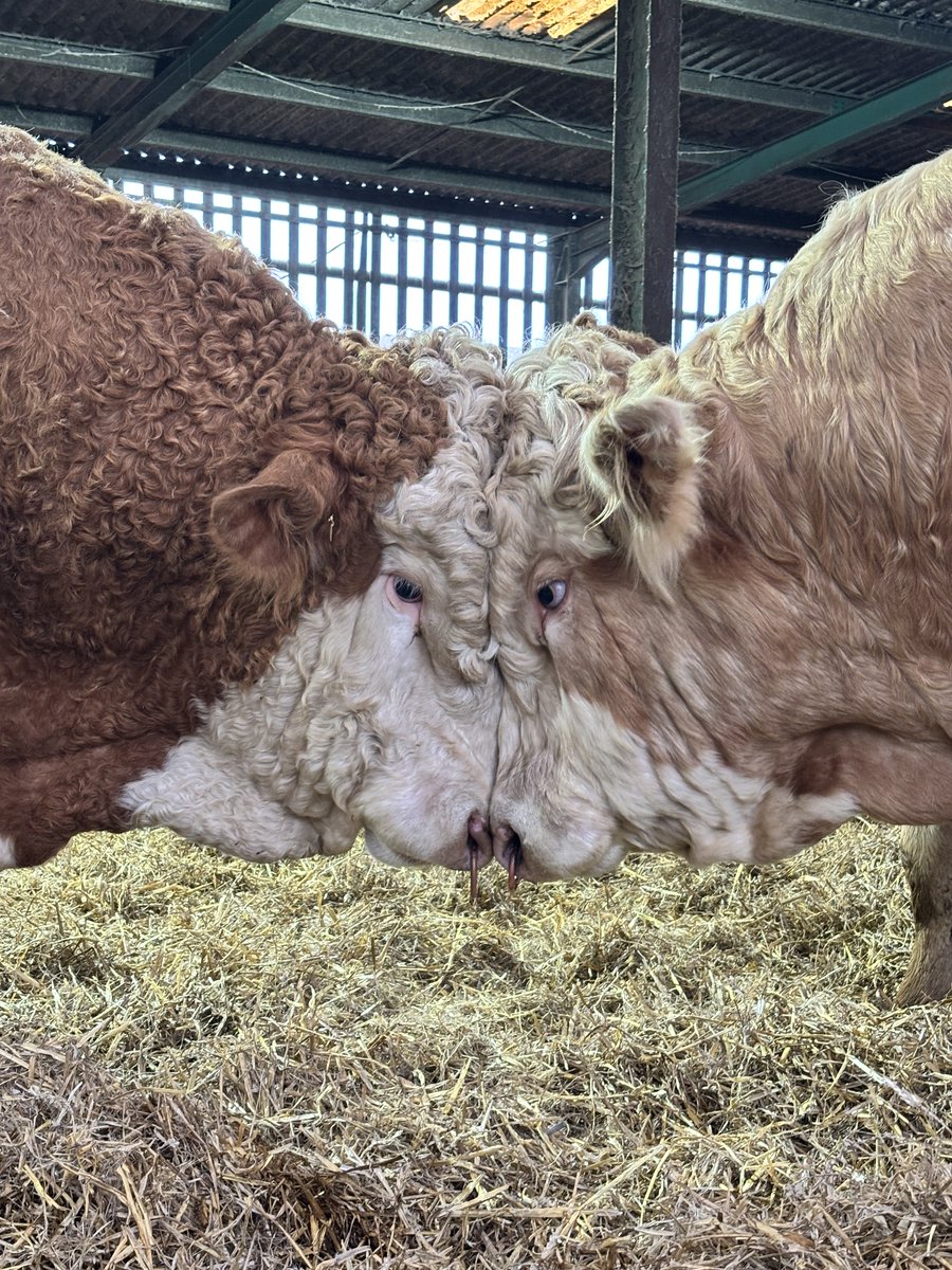 Farmers Weekly tweet media