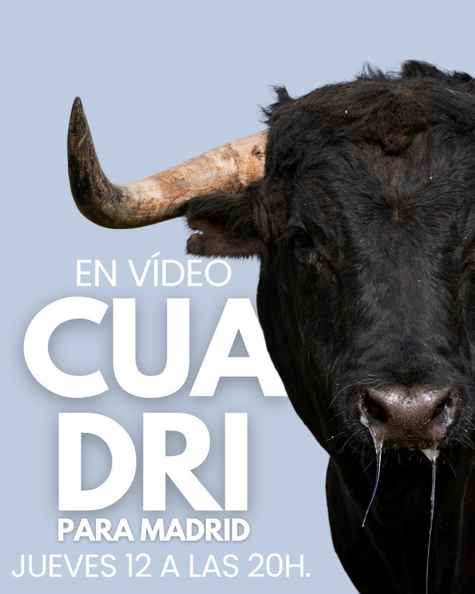 LasVentas's tweet photo. 💜💛🤍¡Los de 𝗖𝗨𝗔𝗗𝗥𝗜 para Madrid! 🔴🔔 ¡Hoy jueves, a las 20:00h., en 𝗩𝗜́𝗗𝗘𝗢! ¡Activa tu alarma!
#LasVentas #Cuadri #Madrid https://t.co/PDaceKFNK1