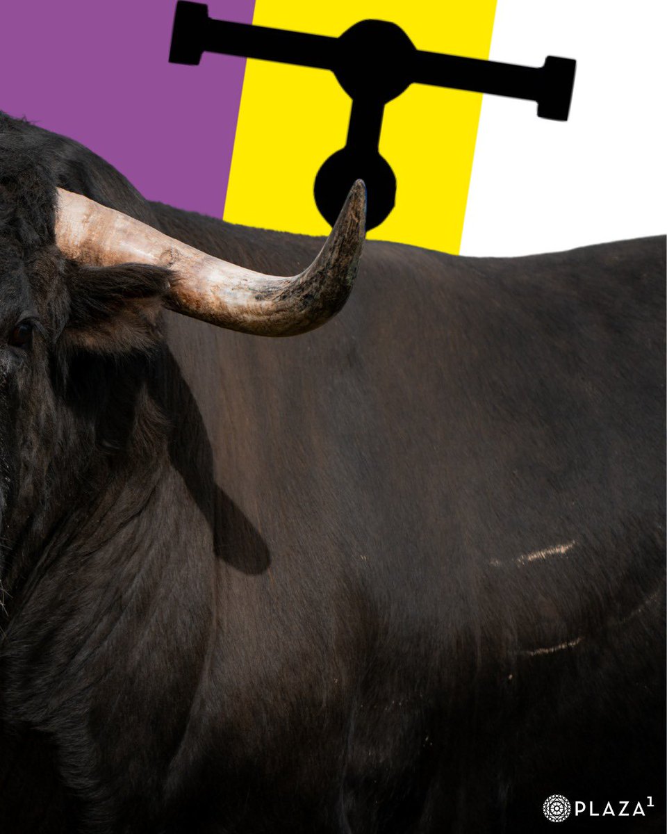 LasVentas's tweet photo. 💜💛🤍¡Los de 𝗖𝗨𝗔𝗗𝗥𝗜 para Madrid! 🔴🔔 ¡Hoy jueves, a las 20:00h., en 𝗩𝗜́𝗗𝗘𝗢! ¡Activa tu alarma!
#LasVentas #Cuadri #Madrid https://t.co/PDaceKFNK1