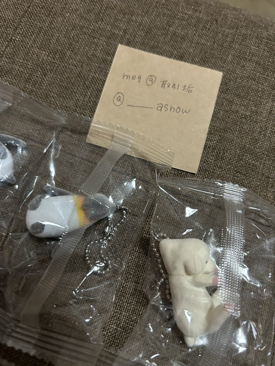 meg@取引垢 tweet media