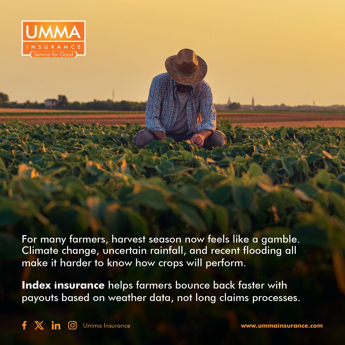 Umma insurance tweet media