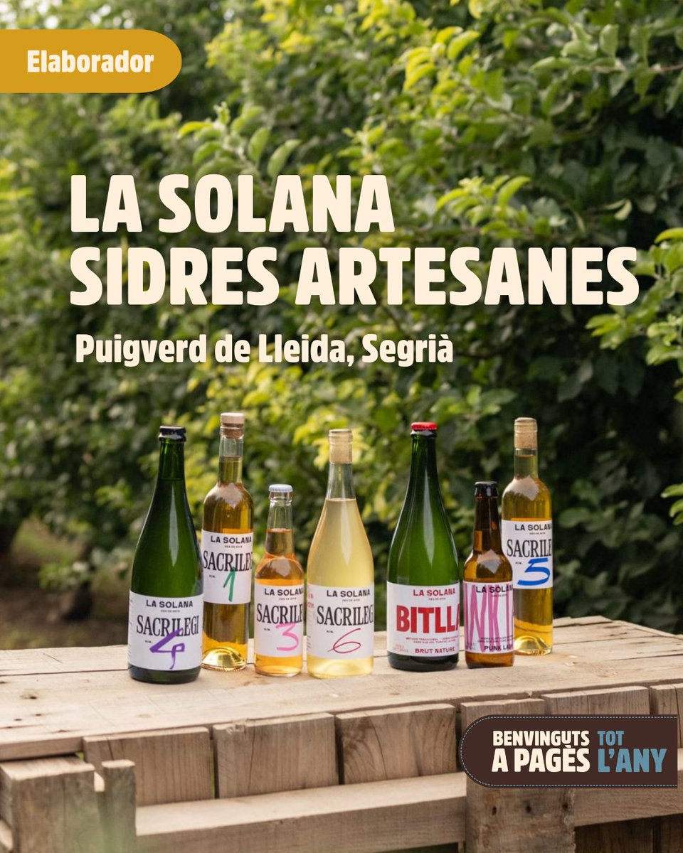 Benvinguts a Pagès tweet media