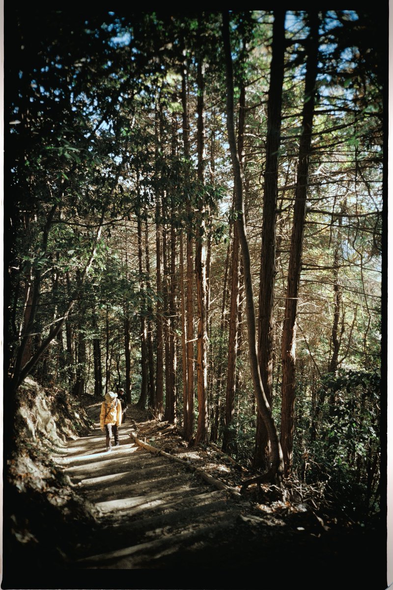 kon__gitsune's tweet image. DazzカメラのGR Fモードで撮った写真が、フィルムカメラRICOH R1で撮った写真と並べても違和感ない。。。

同じ被写体で今度比べたいです📸📱
#dazz #RICOHR1

←RICOH R1(フィルムカメラ)

→Dazz Camera GR F(スマホアプリ)